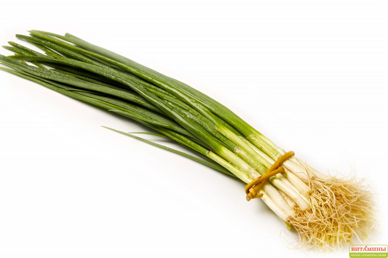 лук