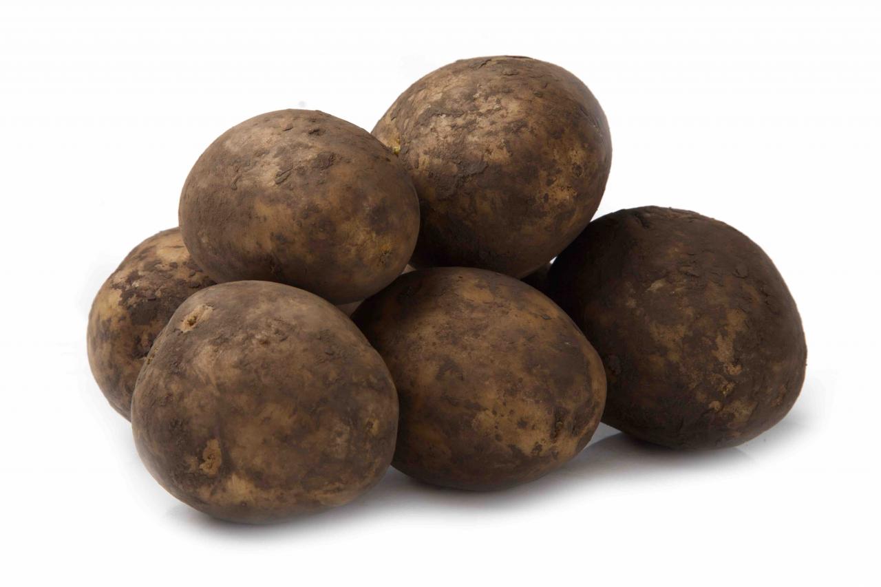 картофель